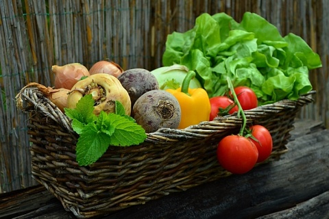 Россия стала третьей в мире по динамике роста цен на овощи и фрукты
