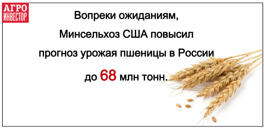 Оценка урожая пшеницы в России в текущем сезоне пересмотрена с 67 млн т до 68 млн т без учета Крыма (еще 0,5 млн т)