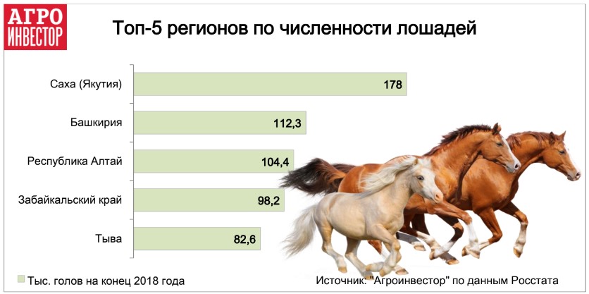 Топ-5 регионов по численности лошадей