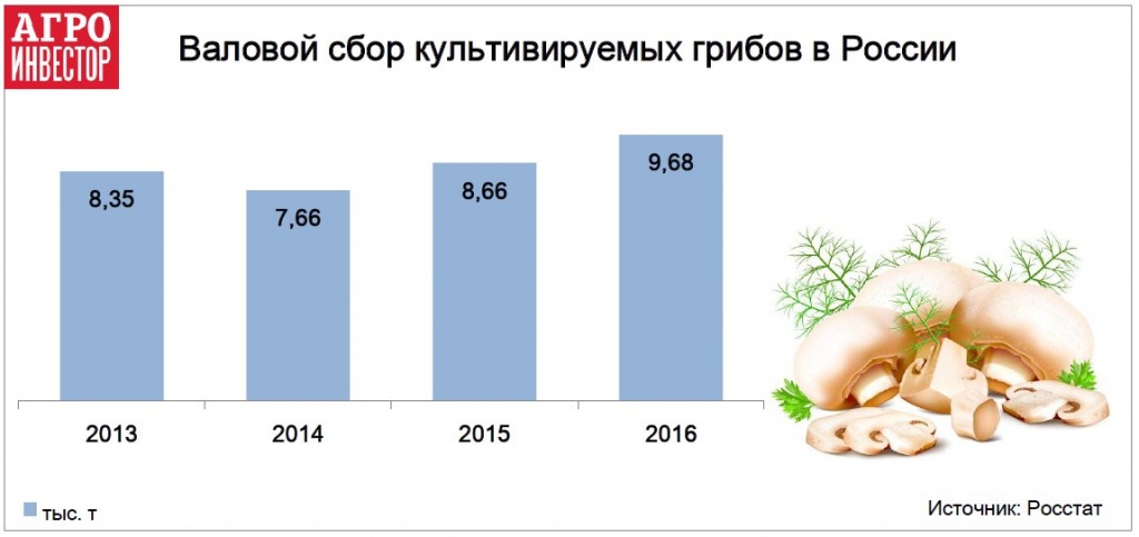 Валовой сбор культивируемых грибов в России