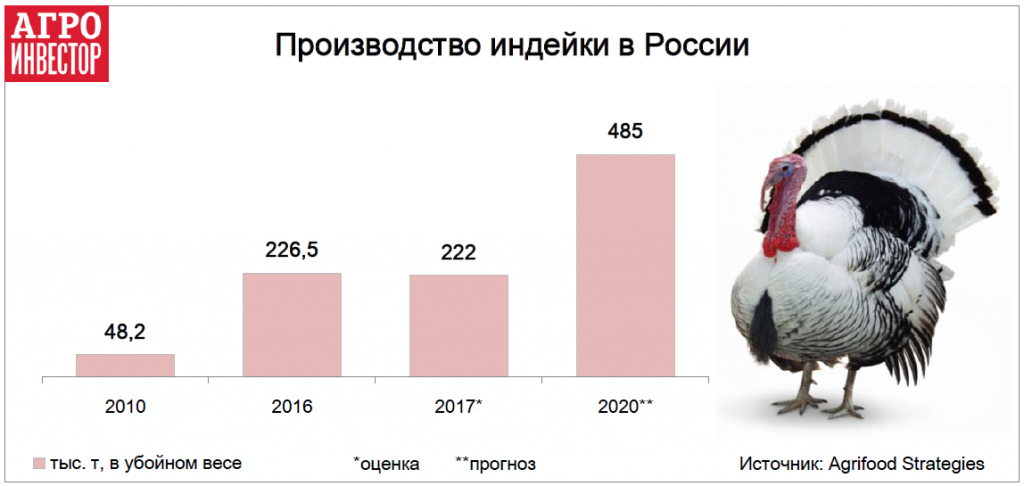 Производство индейки в России