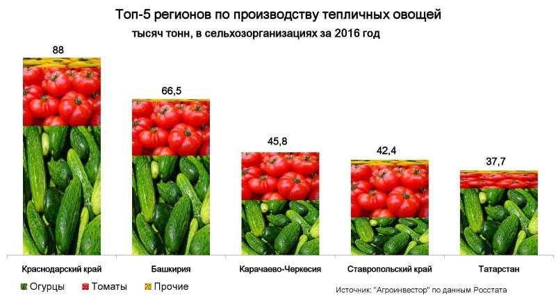 Топ-5 регионов по производству тепличных овощей