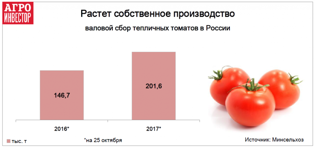 Растет собственное производство тепличных томатов