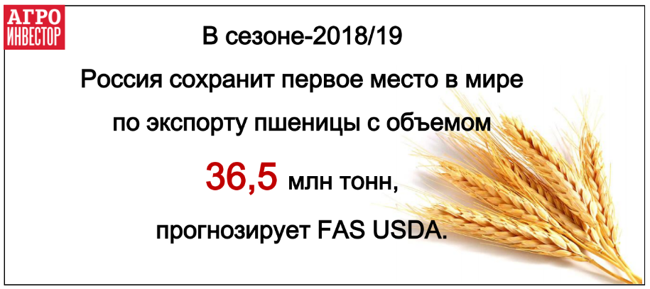 Россия останется крупнейшим экспортером пшеницы в новом сезоне