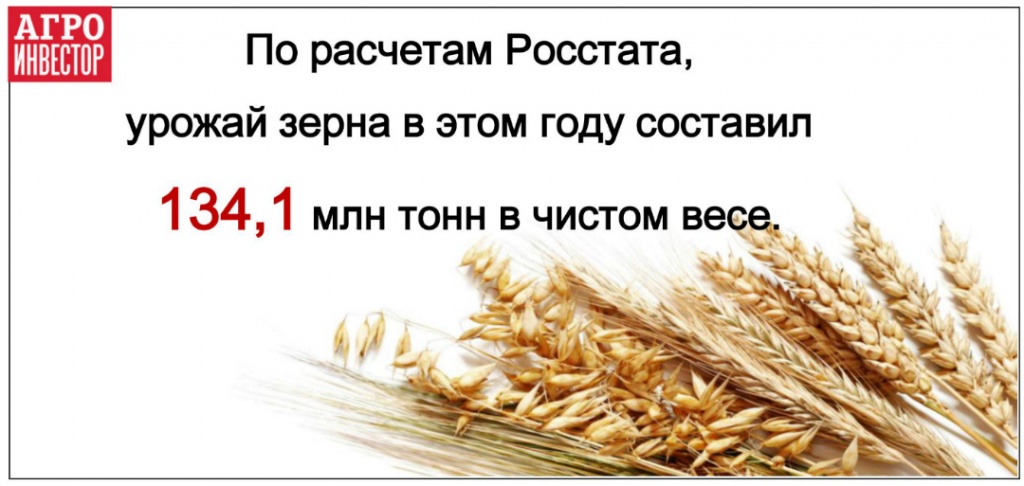Урожай зерна в этом году составил 134,1 млн тонн