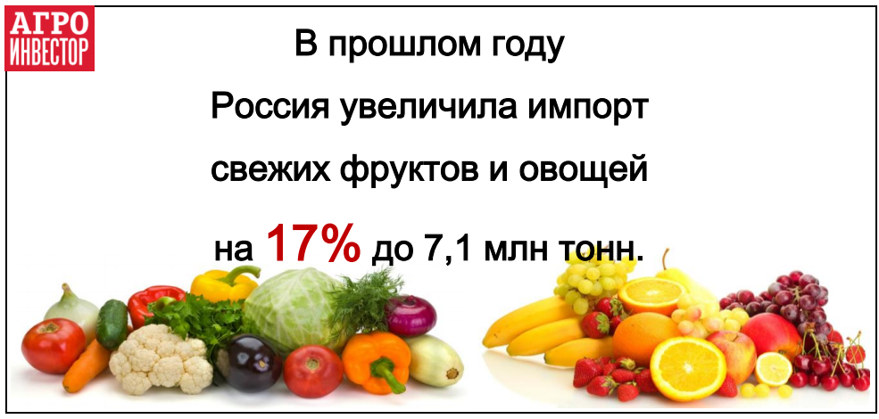 Россия нарастила импорт свежих овощей и фруктов