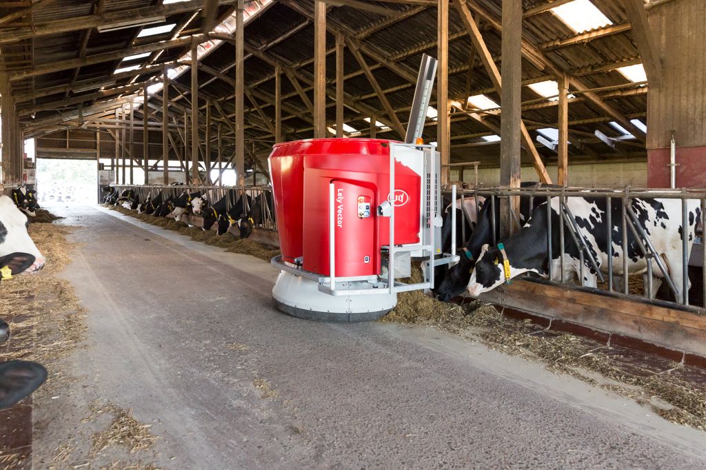 Vector New MFR (dairy cows)