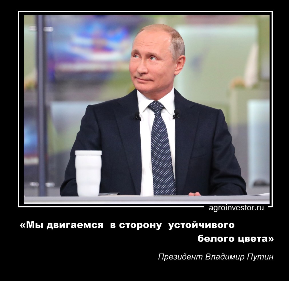 Президент Владимир Путин «Мы двигаемся в сторону устойчивого белого цвета»