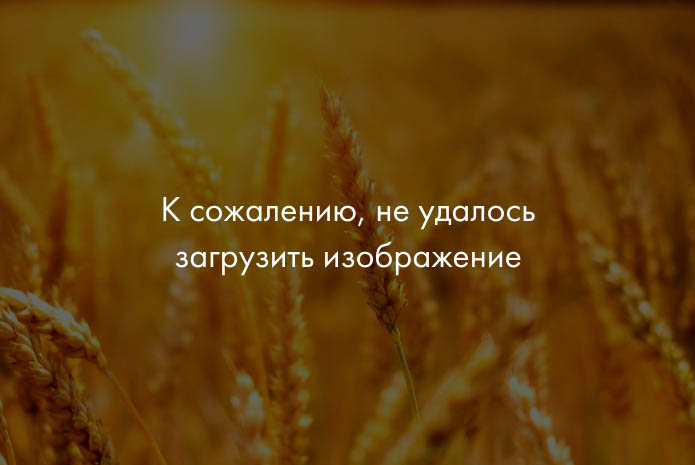 Ярославская обл. направила на развитие животноводства 177 млн руб.