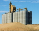 Сегодня начнутся госзакупки зерна на бирже НТБ