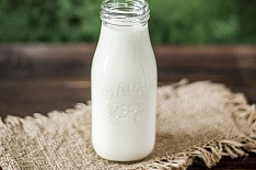 Россия отменит запрет на импорт белорусского молока