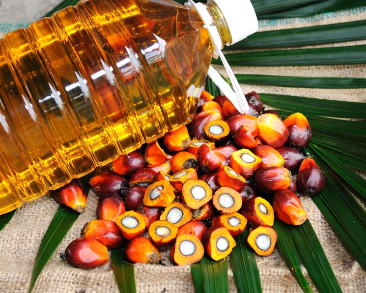 Импорт пальмового масла в Россию вырос на 27%