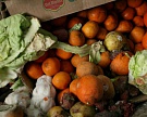 Британский ритейлер запускает приложение для реализации пищевых отходов
