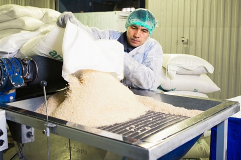 Производители риса теряют рынки сбыта из-за запрета экспорта