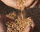 Два московских мелькомбината получат зерно из госфонда