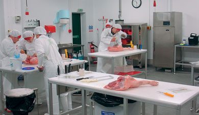 В Нидерландах вырастили мясо в лаборатории