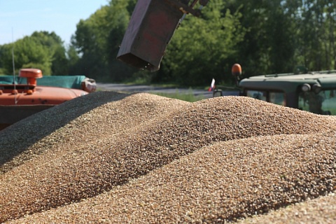 Минсельхоз: с начала сезона Россия экспортировала 40 млн тонн зерна