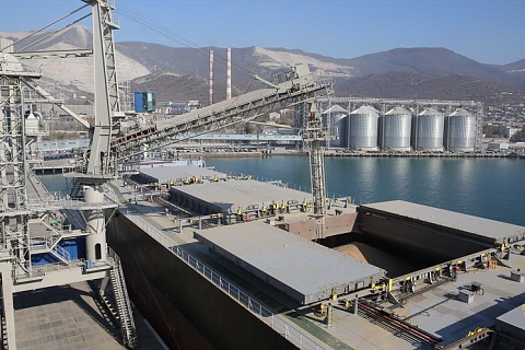 Российское зерно продолжает дешеветь