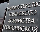 Два заместителя Александра Ткачева ушли в отставку