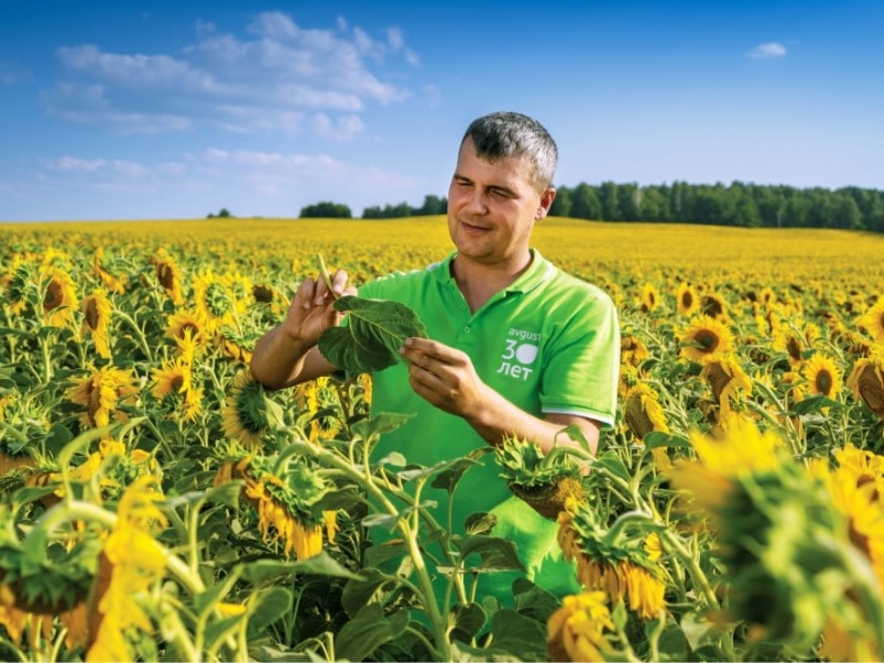 Эксперты крупнейшего российского производителя пестицидов назвали главные тренды на рынке труда