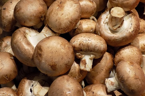 Спрос на грибы снизился из-за падения доходов населения