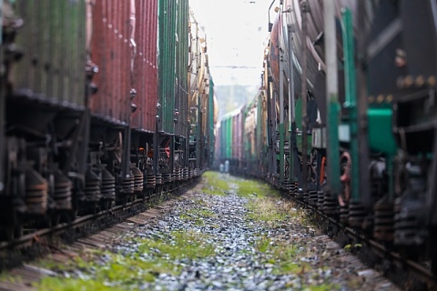 Отмена понижающего коэффициента на перевозки продуктов может привести к перебоям в поставках рыбы