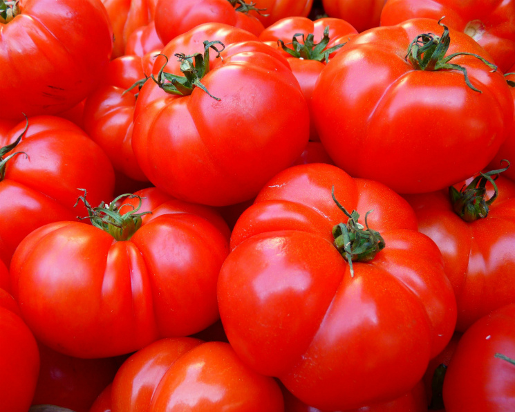 В 2017 году Россия импортировала 516 тысяч тонн томатов