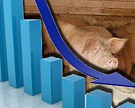 Импорт мяса снизился на 27%