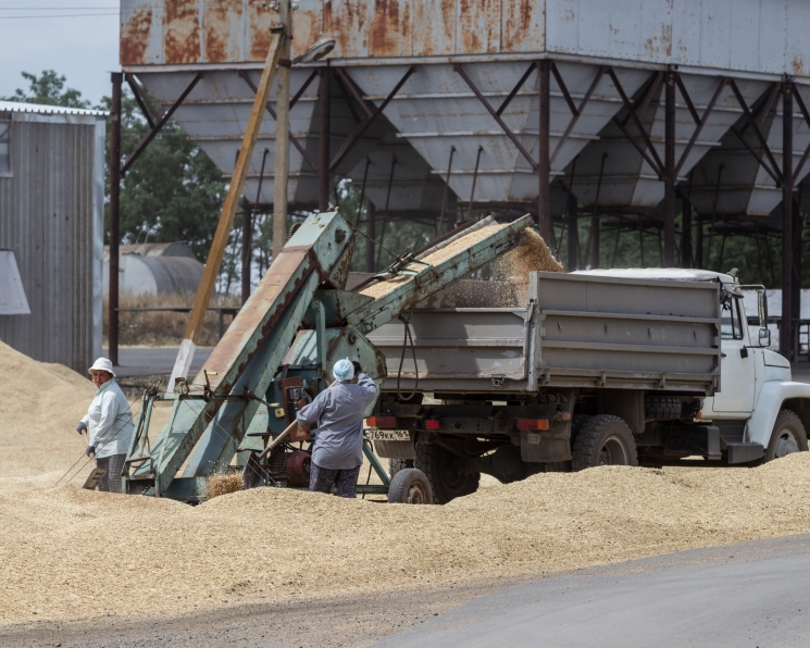 Госдума рекомендовала правительству снять ограничения на экспорт зерна