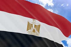 Египет стал крупнейшим импортером российского продовольствия