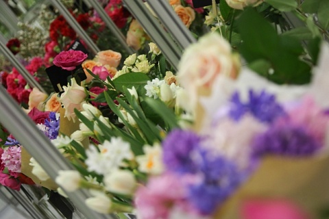 Доля импорта на рынке цветов остается высокой