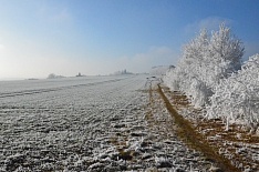 Самое интересное за декабрь