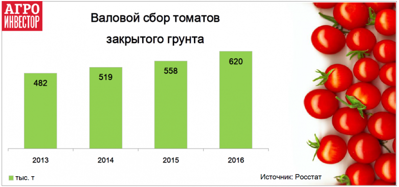 Турецкие томаты вернулись в Россию