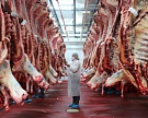 Производство высококачественной говядины вырастет до 425 тыс. тонн