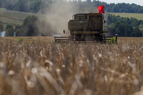 Спрос на российскую пшеницу начал расти