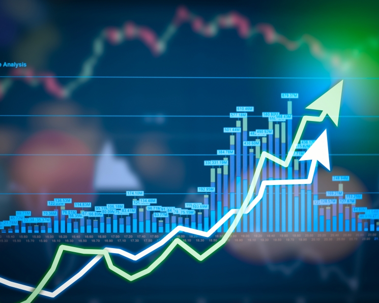 В 2019 году сельское хозяйство выросло на 4%