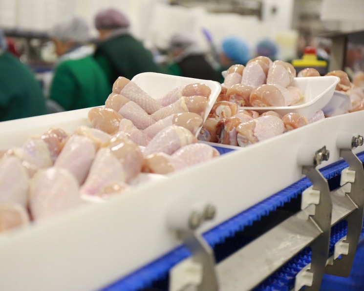 Россия нарастила поставки продукции птицеводства в Китай на 15%