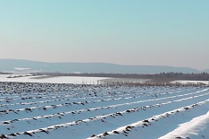 Самое интересное за неделю с 4 по 10 декабря