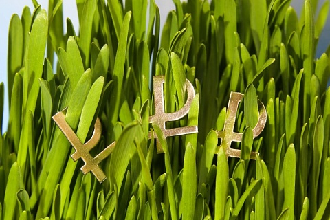 Самое интересное за неделю с 9 по 15 февраля