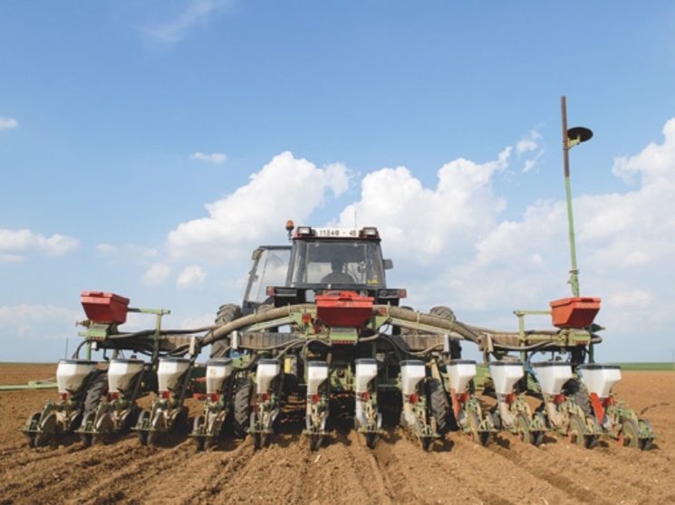 Семена государственной важности. К 2030 году Россия должна закрыть отечественной продукцией 75% от потребности для сева