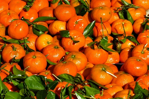 Россия увеличила поставки мандаринов из Абхазии почти на 70%
