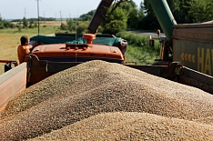 Темпы прироста продовольственного потребления зерна в ближайшие 10 лет замедлятся