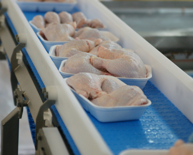Bauer Technics планирует построить мясоперерабатывающий комплекс и бройлерную птицефабрику