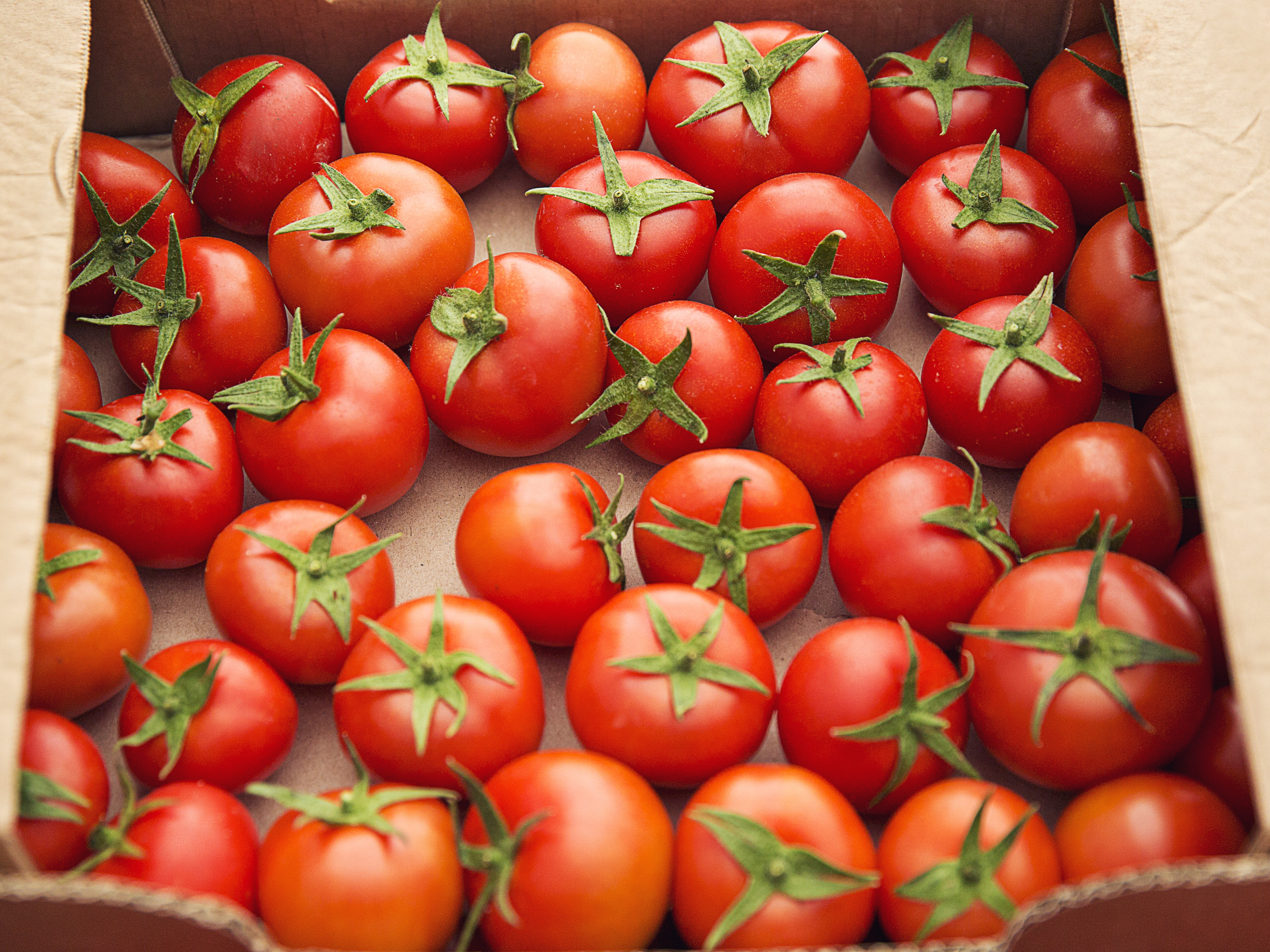 Совет ЕЭК одобрил беспошлинный ввоз в Россию 100 тысяч тонн томатов
