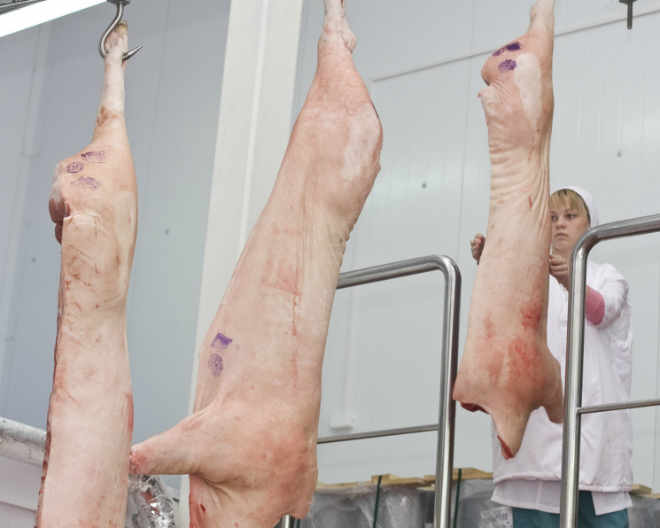 Россельхознадзор начал процесс регистрации поставщиков свинины в Китай