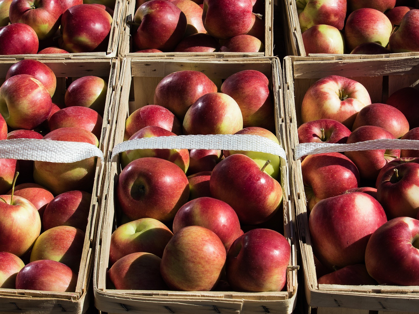 Минсельхоз допустил увеличение импорта яблок из-за заморозков