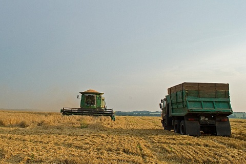 РЗС оценил потенциал экспорта зерна из России в 62 млн тонн