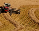 Россия экспортировала 24,7 млн тонн зерна