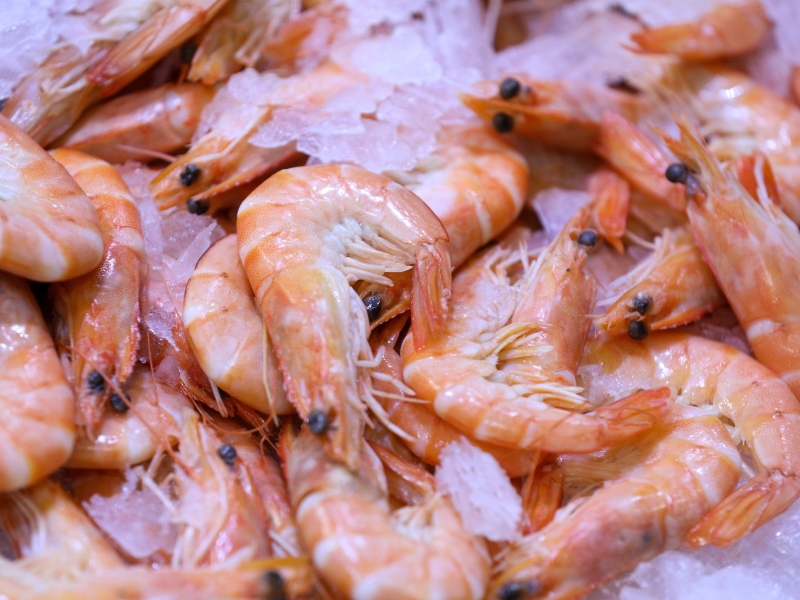 Торговля продукцией АПК между Россией и Индией за три года выросла в два раза