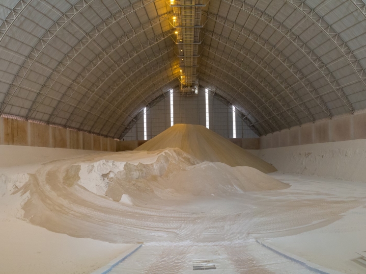 Рынок сахара сбалансировался. В сезоне-2020/21 будет выработано до 5,2 млн т